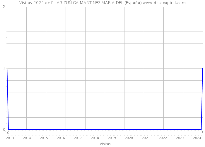 Visitas 2024 de PILAR ZUÑIGA MARTINEZ MARIA DEL (España) 