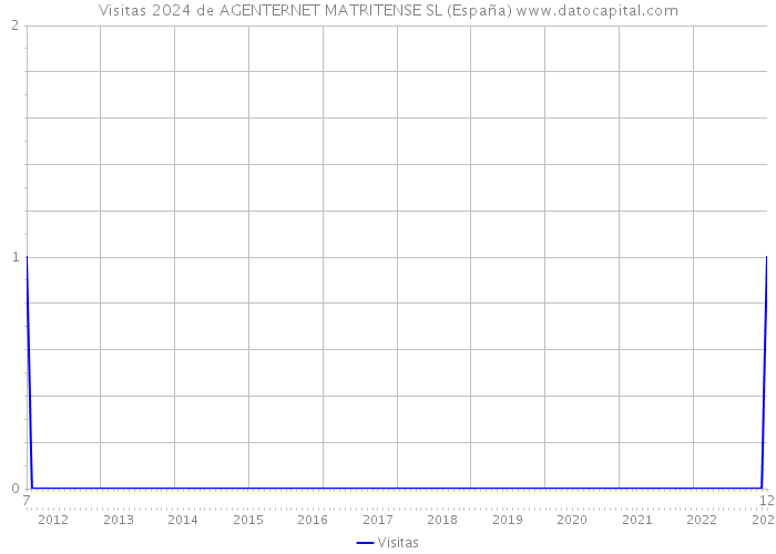 Visitas 2024 de AGENTERNET MATRITENSE SL (España) 