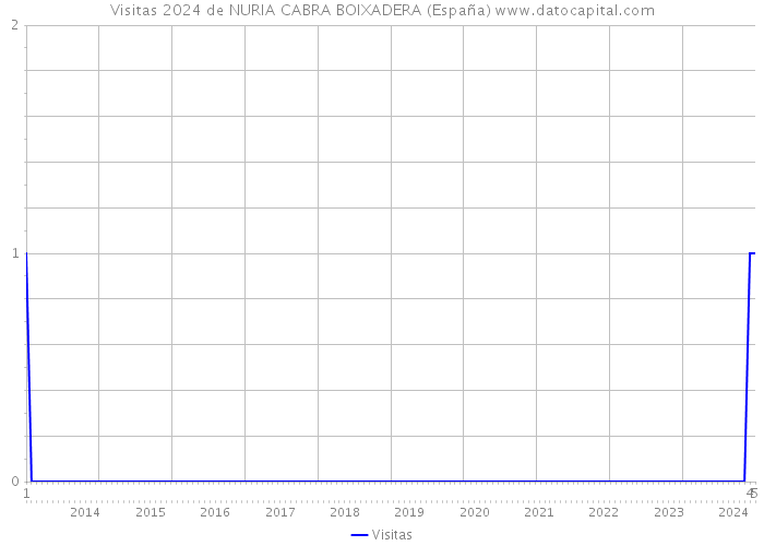 Visitas 2024 de NURIA CABRA BOIXADERA (España) 