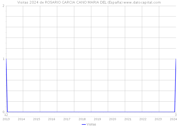Visitas 2024 de ROSARIO GARCIA CANO MARIA DEL (España) 