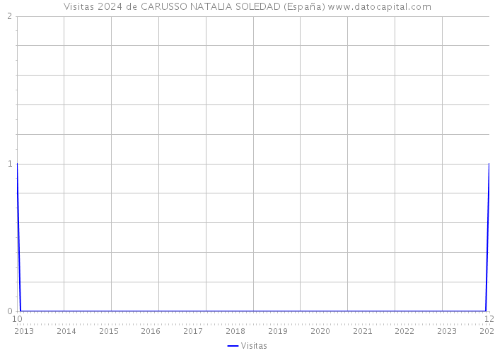 Visitas 2024 de CARUSSO NATALIA SOLEDAD (España) 