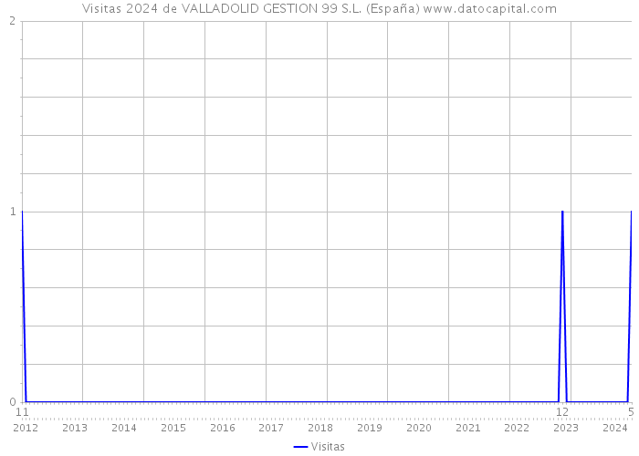 Visitas 2024 de VALLADOLID GESTION 99 S.L. (España) 