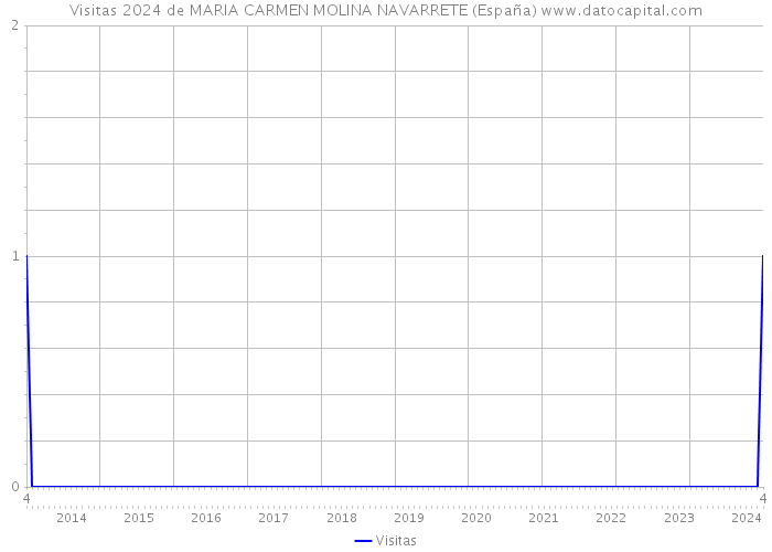 Visitas 2024 de MARIA CARMEN MOLINA NAVARRETE (España) 