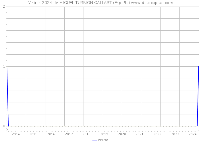 Visitas 2024 de MIGUEL TURRION GALLART (España) 