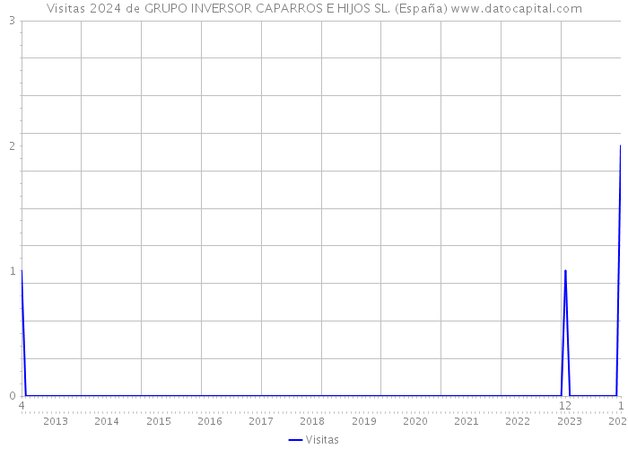 Visitas 2024 de GRUPO INVERSOR CAPARROS E HIJOS SL. (España) 