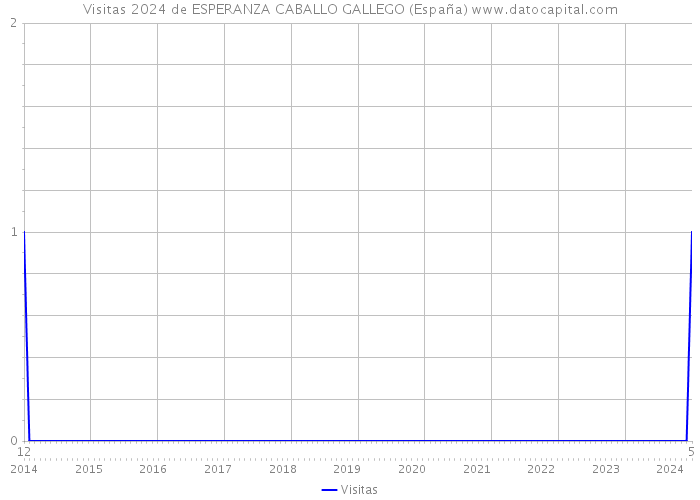 Visitas 2024 de ESPERANZA CABALLO GALLEGO (España) 