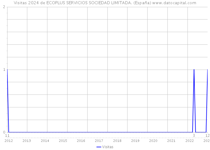 Visitas 2024 de ECOPLUS SERVICIOS SOCIEDAD LIMITADA. (España) 