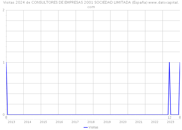 Visitas 2024 de CONSULTORES DE EMPRESAS 2001 SOCIEDAD LIMITADA (España) 