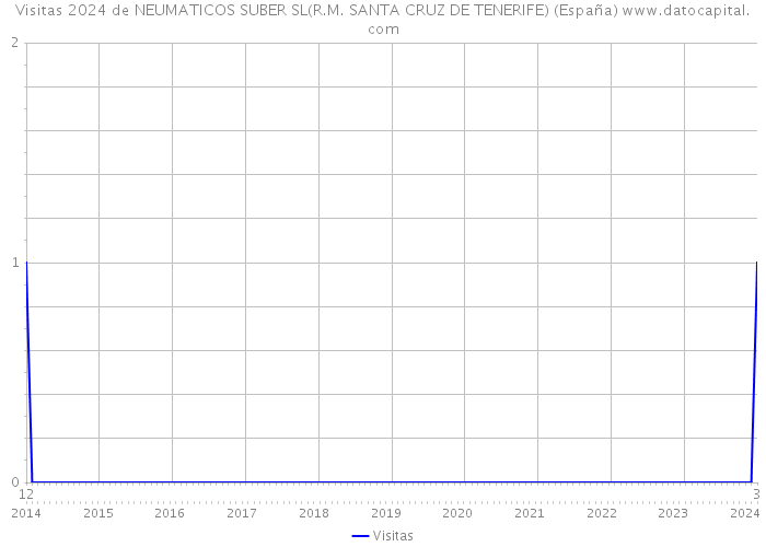Visitas 2024 de NEUMATICOS SUBER SL(R.M. SANTA CRUZ DE TENERIFE) (España) 