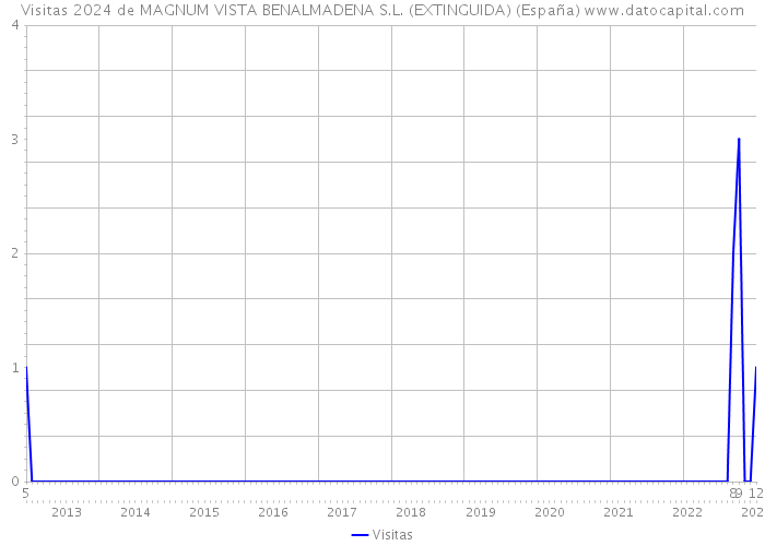 Visitas 2024 de MAGNUM VISTA BENALMADENA S.L. (EXTINGUIDA) (España) 