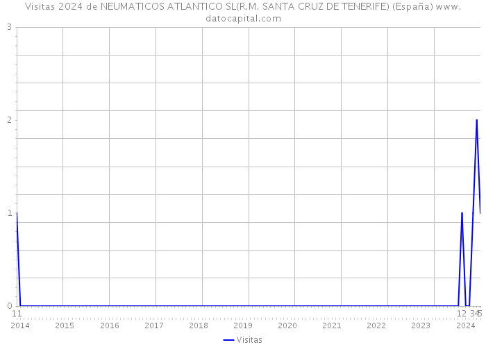 Visitas 2024 de NEUMATICOS ATLANTICO SL(R.M. SANTA CRUZ DE TENERIFE) (España) 