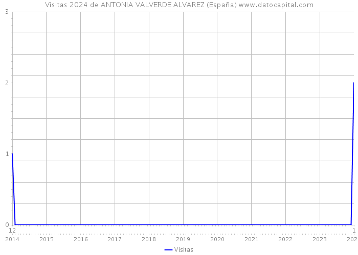 Visitas 2024 de ANTONIA VALVERDE ALVAREZ (España) 