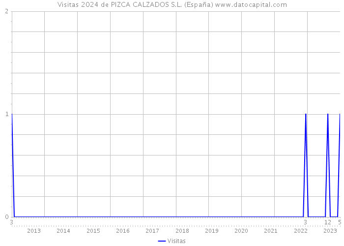 Visitas 2024 de PIZCA CALZADOS S.L. (España) 