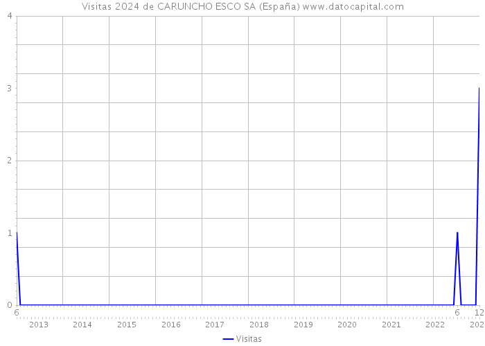 Visitas 2024 de CARUNCHO ESCO SA (España) 