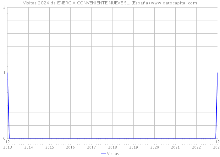 Visitas 2024 de ENERGIA CONVENIENTE NUEVE SL. (España) 