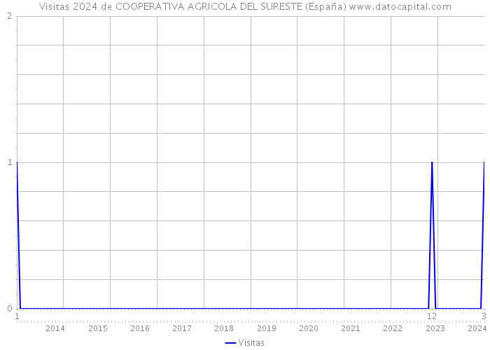 Visitas 2024 de COOPERATIVA AGRICOLA DEL SURESTE (España) 