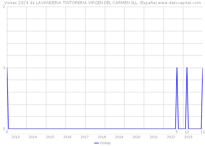 Visitas 2024 de LAVANDERIA TINTORERIA VIRGEN DEL CARMEN SLL. (España) 