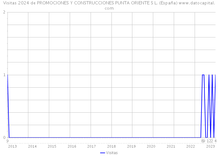 Visitas 2024 de PROMOCIONES Y CONSTRUCCIONES PUNTA ORIENTE S L. (España) 