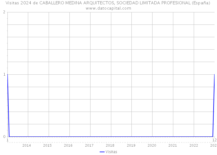Visitas 2024 de CABALLERO MEDINA ARQUITECTOS, SOCIEDAD LIMITADA PROFESIONAL (España) 