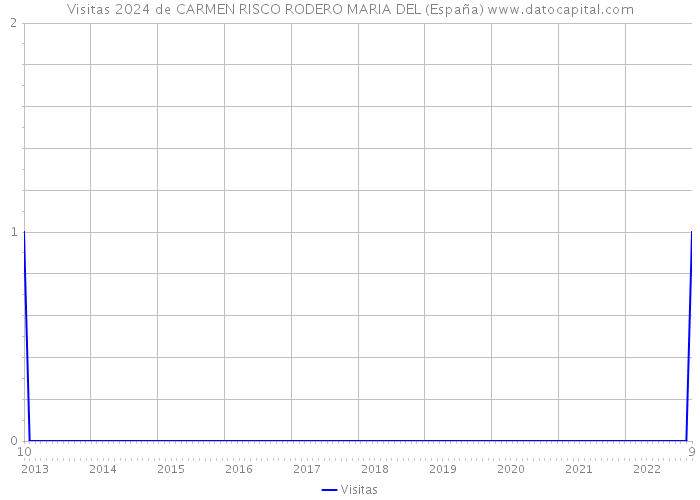 Visitas 2024 de CARMEN RISCO RODERO MARIA DEL (España) 