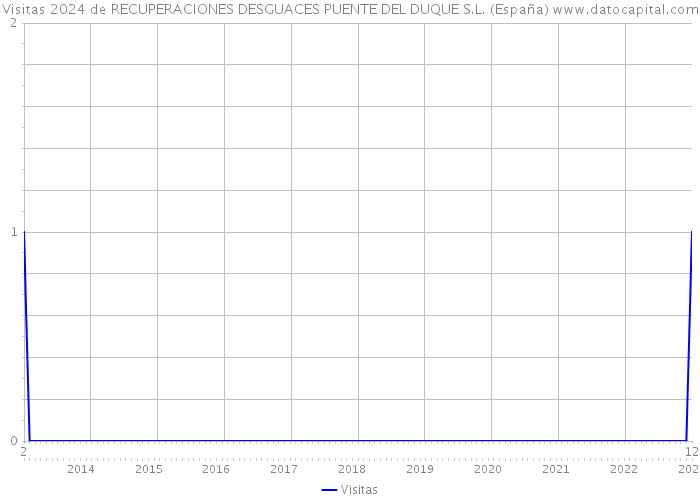 Visitas 2024 de RECUPERACIONES DESGUACES PUENTE DEL DUQUE S.L. (España) 