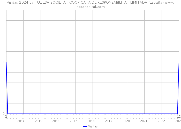 Visitas 2024 de TULIESA SOCIETAT COOP CATA DE RESPONSABILITAT LIMITADA (España) 