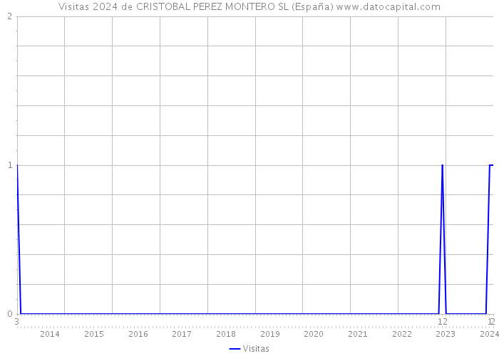 Visitas 2024 de CRISTOBAL PEREZ MONTERO SL (España) 