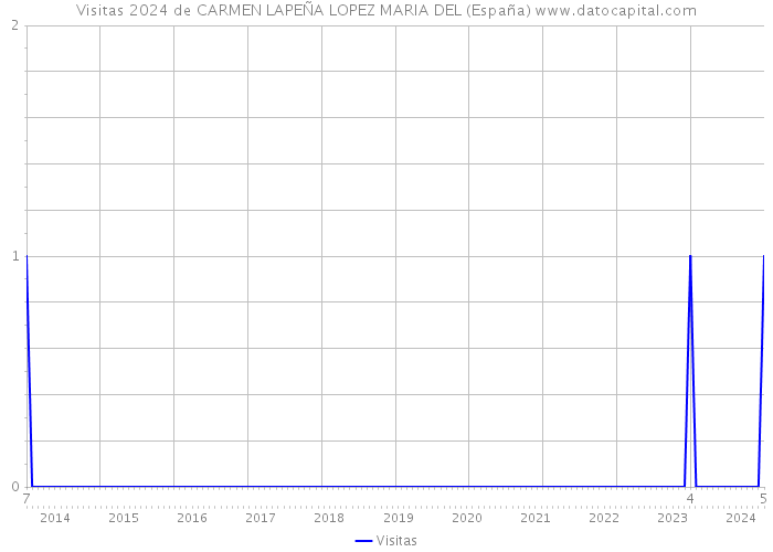Visitas 2024 de CARMEN LAPEÑA LOPEZ MARIA DEL (España) 