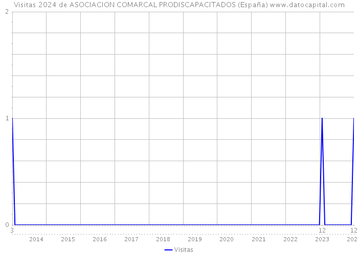 Visitas 2024 de ASOCIACION COMARCAL PRODISCAPACITADOS (España) 