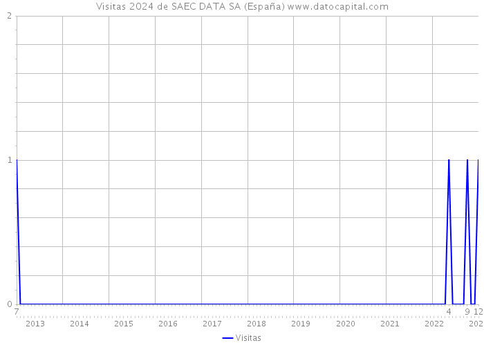 Visitas 2024 de SAEC DATA SA (España) 