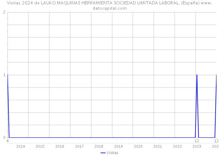 Visitas 2024 de LAUKO MAQUINAS HERRAMIENTA SOCIEDAD LIMITADA LABORAL. (España) 