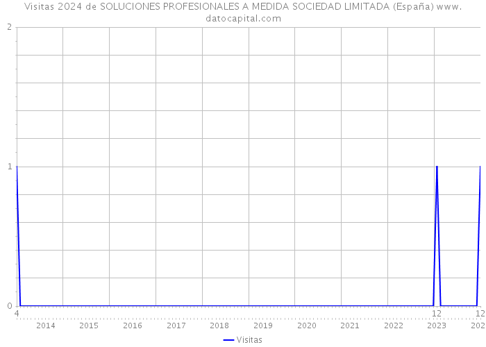 Visitas 2024 de SOLUCIONES PROFESIONALES A MEDIDA SOCIEDAD LIMITADA (España) 