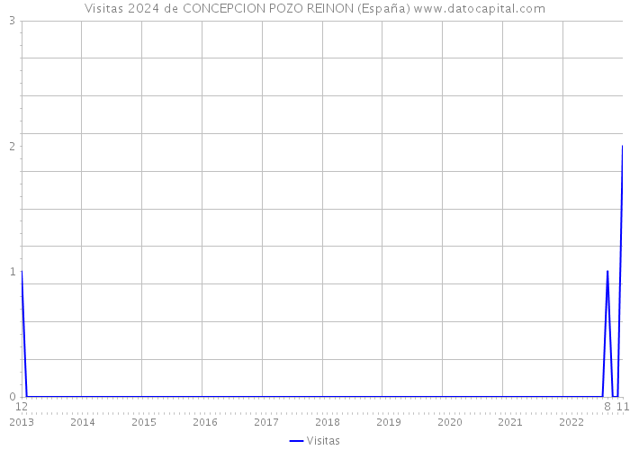 Visitas 2024 de CONCEPCION POZO REINON (España) 