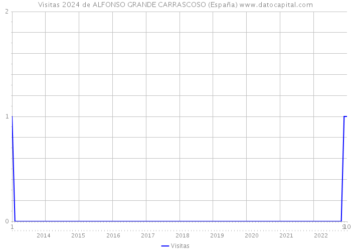 Visitas 2024 de ALFONSO GRANDE CARRASCOSO (España) 