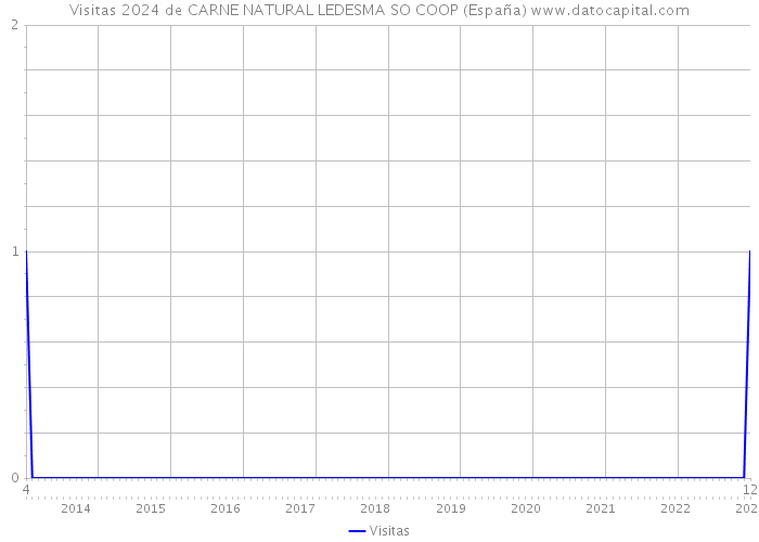 Visitas 2024 de CARNE NATURAL LEDESMA SO COOP (España) 
