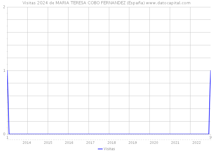 Visitas 2024 de MARIA TERESA COBO FERNANDEZ (España) 