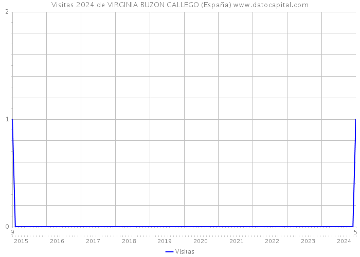Visitas 2024 de VIRGINIA BUZON GALLEGO (España) 
