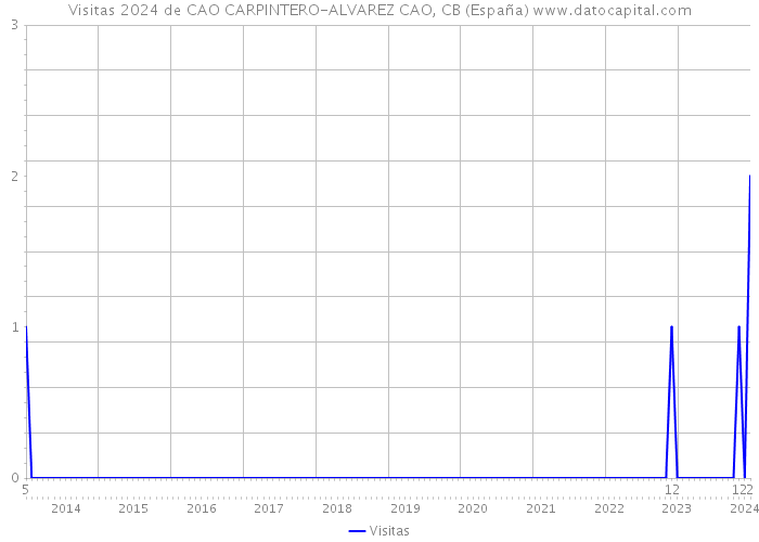Visitas 2024 de CAO CARPINTERO-ALVAREZ CAO, CB (España) 