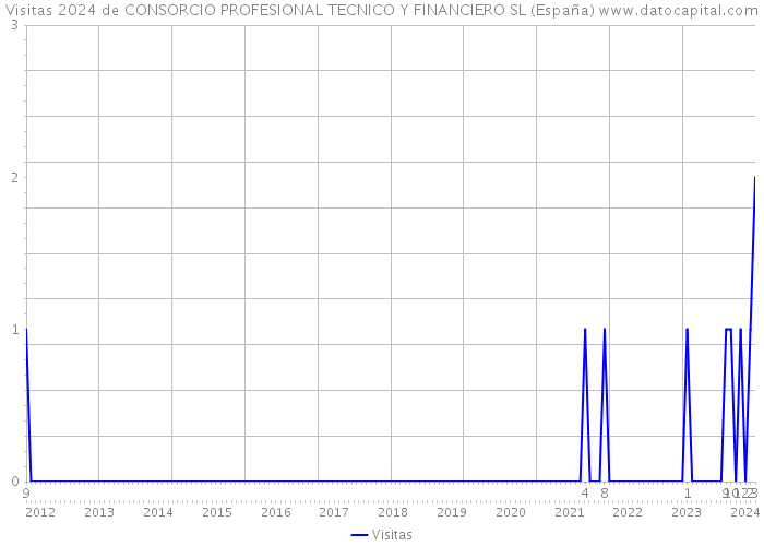 Visitas 2024 de CONSORCIO PROFESIONAL TECNICO Y FINANCIERO SL (España) 