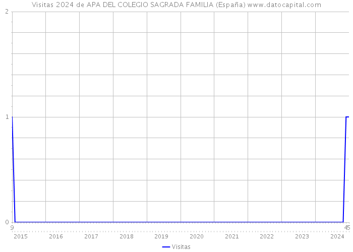 Visitas 2024 de APA DEL COLEGIO SAGRADA FAMILIA (España) 