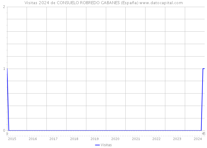 Visitas 2024 de CONSUELO ROBREDO GABANES (España) 