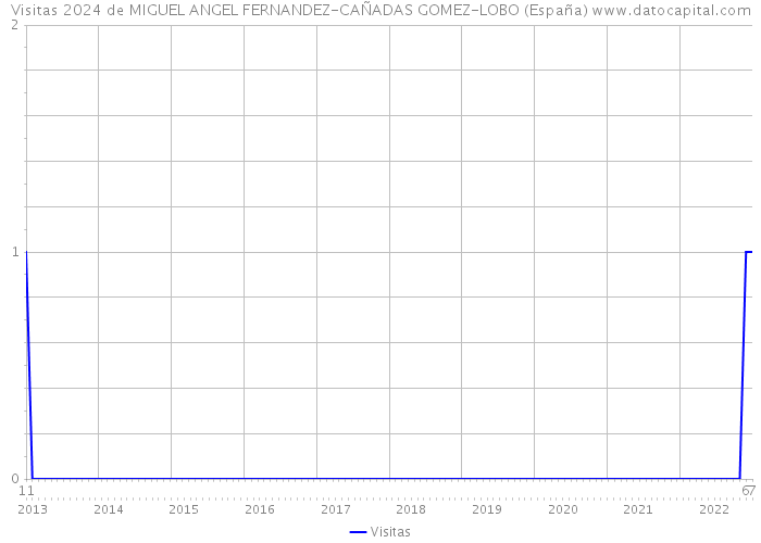 Visitas 2024 de MIGUEL ANGEL FERNANDEZ-CAÑADAS GOMEZ-LOBO (España) 