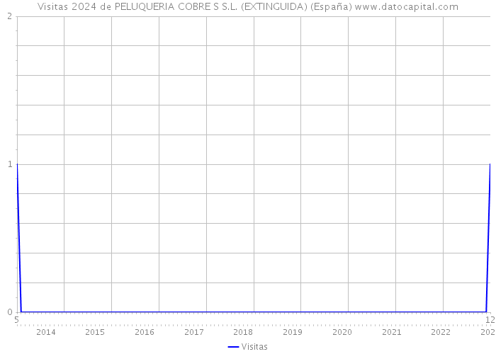 Visitas 2024 de PELUQUERIA COBRE S S.L. (EXTINGUIDA) (España) 