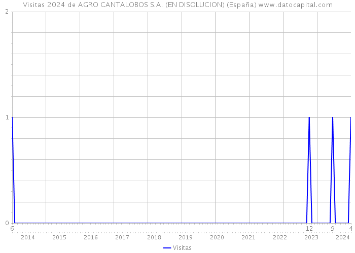 Visitas 2024 de AGRO CANTALOBOS S.A. (EN DISOLUCION) (España) 
