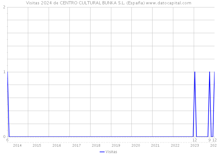 Visitas 2024 de CENTRO CULTURAL BUNKA S.L. (España) 