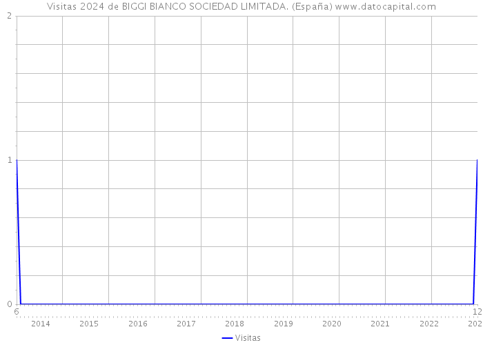 Visitas 2024 de BIGGI BIANCO SOCIEDAD LIMITADA. (España) 