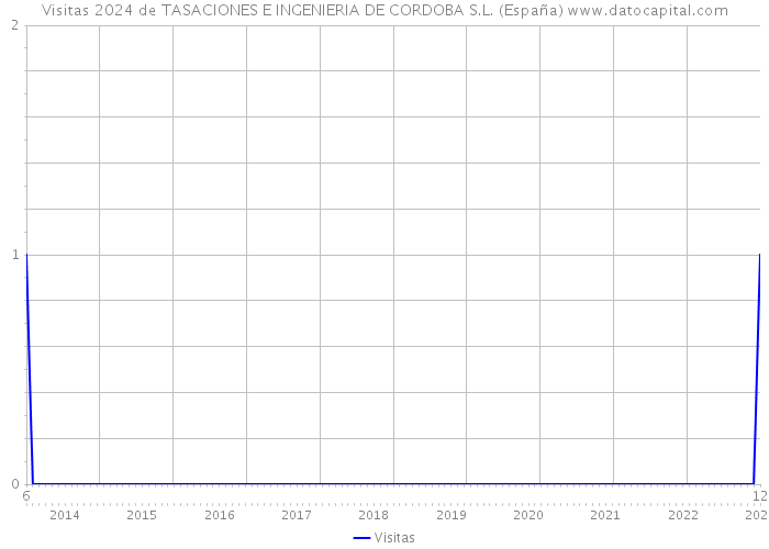 Visitas 2024 de TASACIONES E INGENIERIA DE CORDOBA S.L. (España) 
