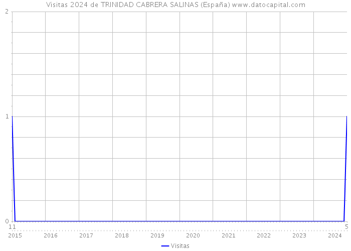Visitas 2024 de TRINIDAD CABRERA SALINAS (España) 