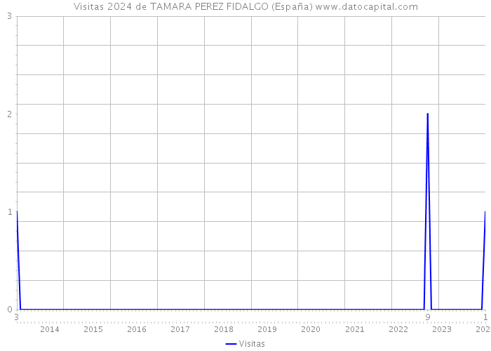 Visitas 2024 de TAMARA PEREZ FIDALGO (España) 