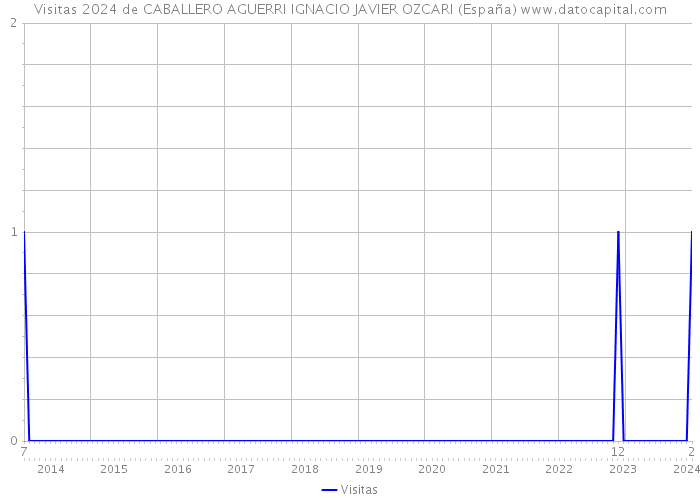 Visitas 2024 de CABALLERO AGUERRI IGNACIO JAVIER OZCARI (España) 